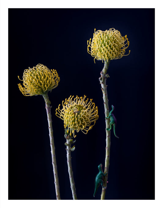 The Pollinators
